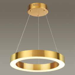Подвесной светильник Brizzi 3885/25LG Odeon Light