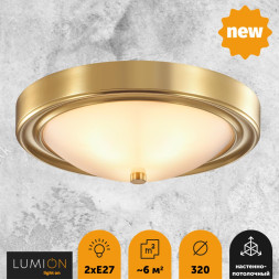 Потолочный светильник Nina 5259/2C Lumion