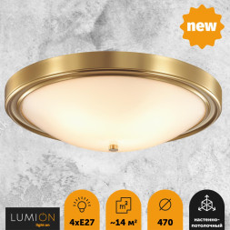 Потолочный светильник Nina 5259/4C Lumion