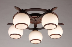 Потолочная люстра Fronteira OML-50507-05 Omnilux