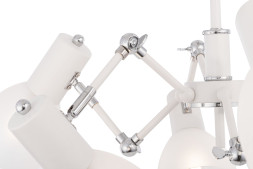 Потолочная люстра Avery FR5080PL-06W Freya
