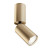 Точечный светильник FOCUS S C051CL-01G Maytoni