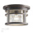 Потолочный светильник уличный Virta 4044/1C Odeon Light
