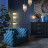 Интерьерная настольная лампа York 4788/2T Odeon Light