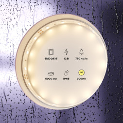 Светодиодная лента Led strip 20004 Maytoni