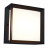 Потолочный светильник уличный Cubista SL077.402.01 ST Luce