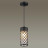Уличный светильник подвесной Dunes 4834/1 Odeon Light