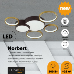 Потолочная люстра Norbert 5255/99CL Lumion