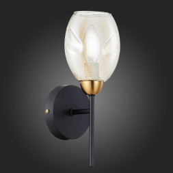 Бра Gloa SLE155501-01 Evoluce