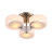Потолочная люстра Foresta SL483.352.03 ST Luce