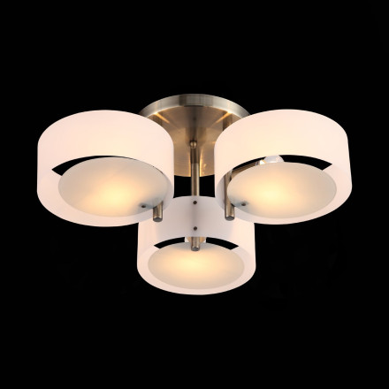 Потолочная люстра Foresta SL483.352.03 ST Luce