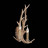 Бра Renna SL153.701.02 ST Luce