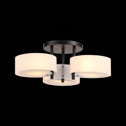Потолочная люстра Foresta SL483.402.03 ST Luce