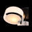 Потолочная люстра Foresta SL483.402.03 ST Luce