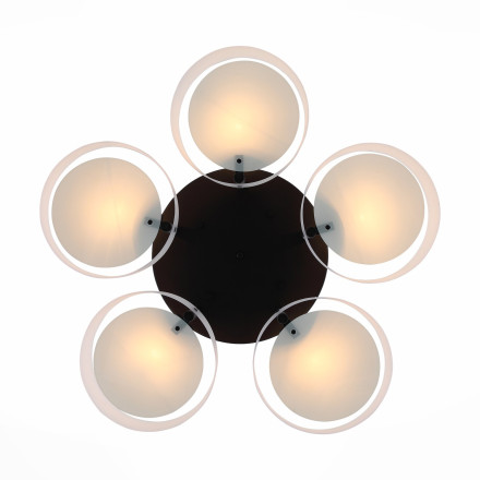 Потолочная люстра Foresta SL483.402.05 ST Luce
