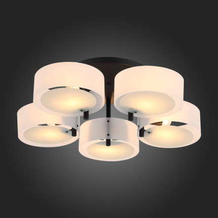 Потолочная люстра Foresta SL483.402.05 ST Luce