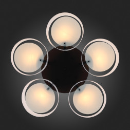 Потолочная люстра Foresta SL483.402.05 ST Luce