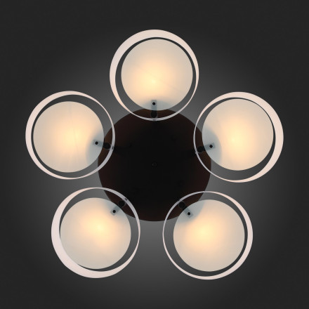Потолочная люстра Foresta SL483.402.05 ST Luce