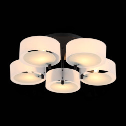 Потолочная люстра Foresta SL483.402.05 ST Luce