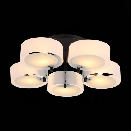Потолочная люстра Foresta SL483.402.05 ST Luce