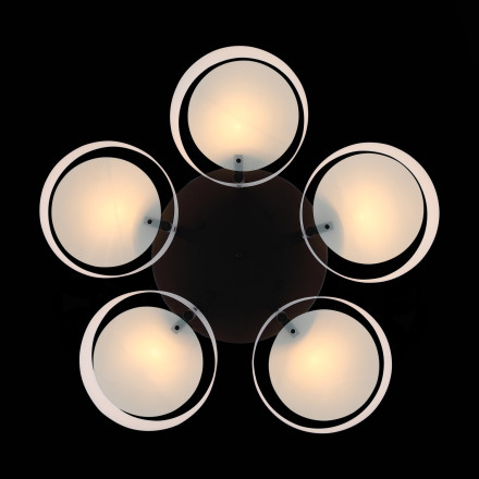 Потолочная люстра Foresta SL483.402.05 ST Luce