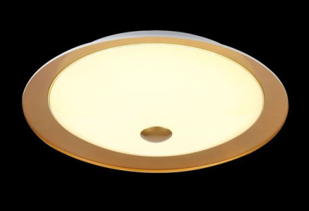 Потолочный светильник Euler CL815-PT50-G Maytoni