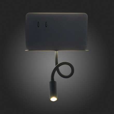 Настенный светильник Pinaggio SL1576.401.02 ST Luce