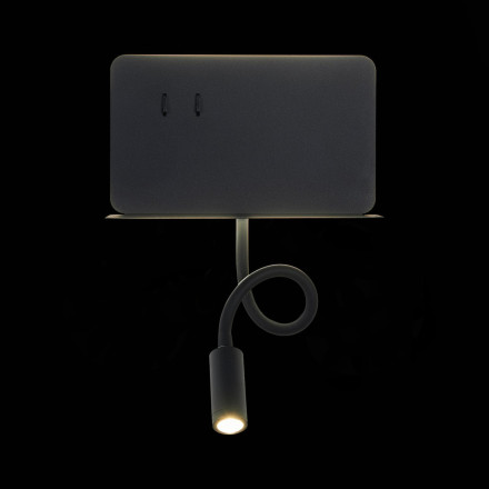 Настенный светильник Pinaggio SL1576.401.02 ST Luce