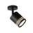 Спот Cerione ST101.412.05 ST Luce