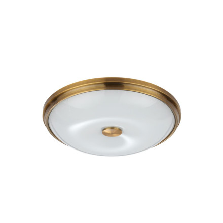 Настенно-потолочный светильник Pelow 4956/4 Odeon Light