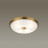 Настенно-потолочный светильник Pelow 4956/4 Odeon Light