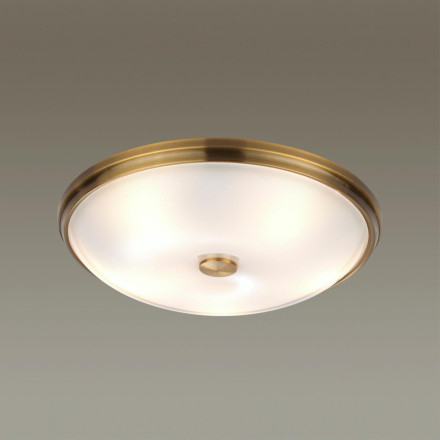 Настенно-потолочный светильник Pelow 4956/5 Odeon Light