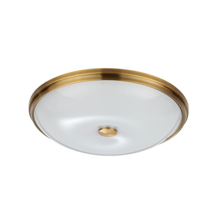 Настенно-потолочный светильник Pelow 4956/5 Odeon Light