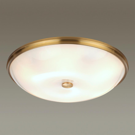 Настенно-потолочный светильник Pelow 4956/6 Odeon Light