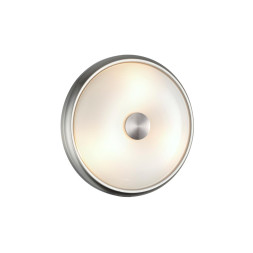 Настенно-потолочный светильник Pelow 4957/2 Odeon Light