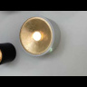 Точечный светильник Glasgow 3892/1C Odeon Light