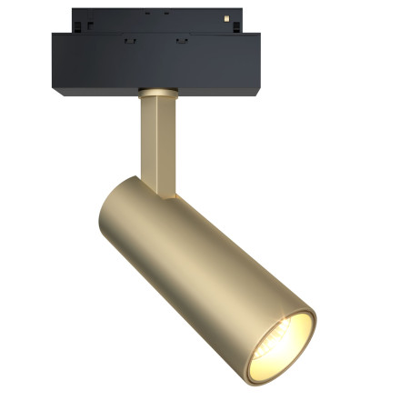 Трековый светильник Focus Led TR019-2-10W3K-MG Maytoni