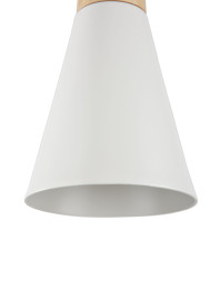 Подвесной светильник Bicones P359-PL-140-W Maytoni