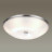 Настенно-потолочный светильник Pelow 4957/6 Odeon Light