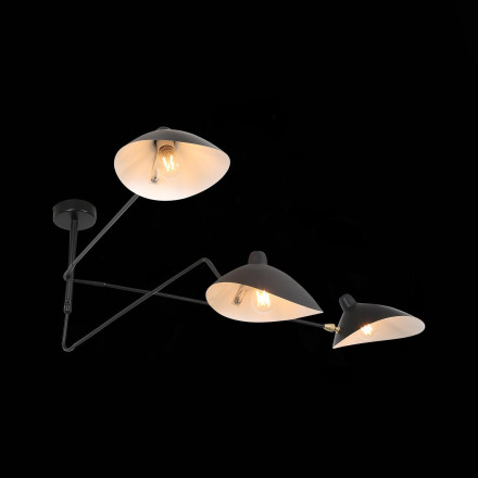 Потолочная люстра Spruzzo SL305.402.03 ST Luce