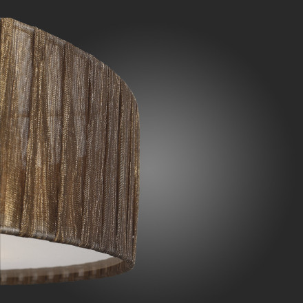 Потолочный светильник Rondella SL357.702.05 ST Luce