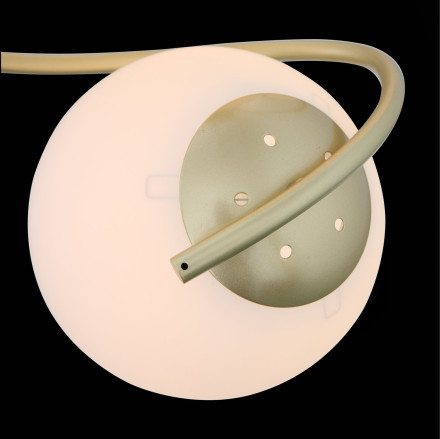 Потолочная люстра Delicata SL711.202.04 ST Luce
