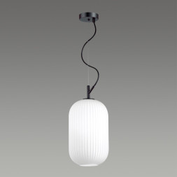 Подвесной светильник Roofi 4751/1 Odeon Light