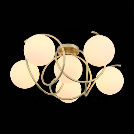 Потолочная люстра Delicata SL711.202.06 ST Luce
