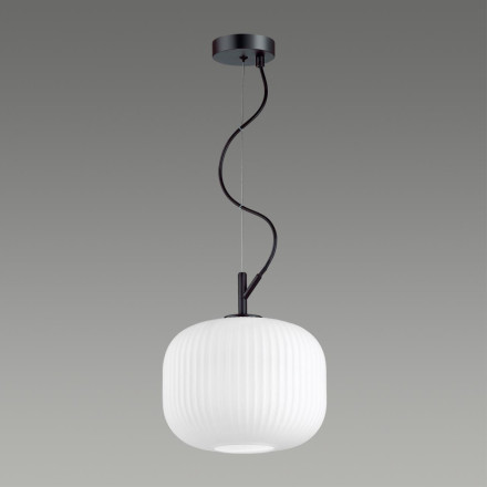 Подвесной светильник Roofi 4753/1 Odeon Light