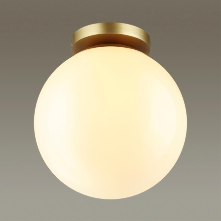 Потолочный светильник уличный Bosco 4248/1C Odeon Light