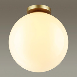 Потолочный светильник уличный Bosco 4249/1C Odeon Light