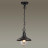 Уличный светильник подвесной Campa 4965/1 Odeon Light