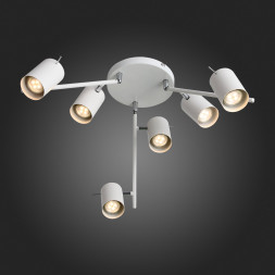Потолочный светильник Fanale SL597.502.06 ST Luce