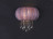 Бра Preferita SL350.091.02 ST Luce